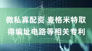 微私寡配资 麦格米特取得编址电路等相关专利