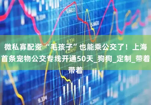 微私寡配资 “毛孩子”也能乘公交了！上海首条宠物公交专线开通50天_狗狗_定制_带着