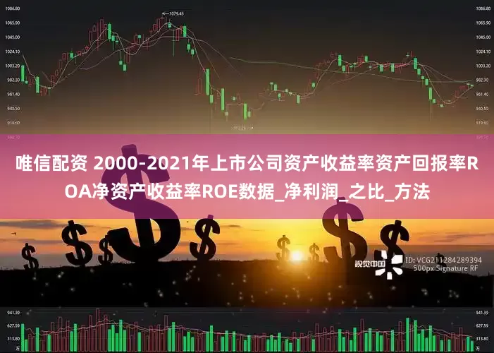 唯信配资 2000-2021年上市公司资产收益率资产回报率ROA净资产收益率ROE数据_净利润_之比_方法