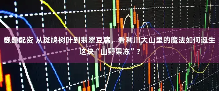 巍巍配资 从斑鸠树叶到翡翠豆腐，看利川大山里的魔法如何诞生这块“山野果冻”？