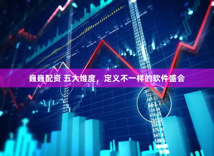 巍巍配资 五大维度，定义不一样的软件盛会